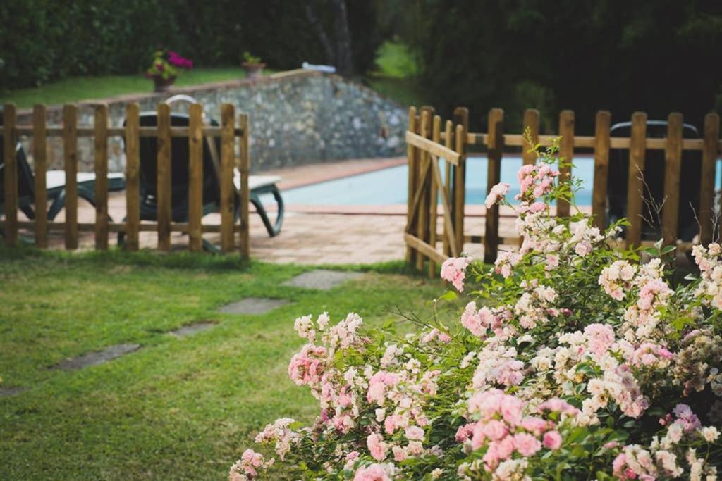 Villa Capannina Vico d'Arbia Bagian luar foto